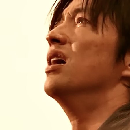 Jin (2009)