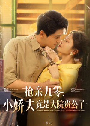In the 1990s, the Young Husband Turned Out to Be a Nobleman from a Large Courtyard (2025) poster
