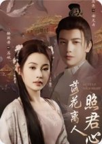 Light up Your Heart Chinese Drama(2025) photo