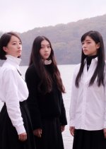 White Flowers and Fruits Japanese Movie(2025) photo