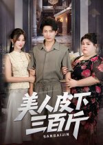 Mei Ren Pi Xia San Bai Jin Chinese Drama(2025) photo