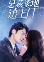 Passionate Love Chinese Drama(2024) photo