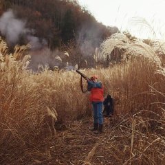 After the Fever Japanese Movie photo