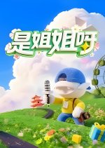 Shi Jie Jie