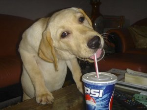 ethelcainstanaccount