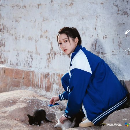 Dazzling (2026)