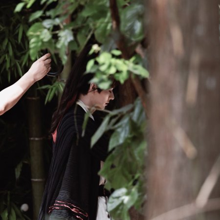 The Legend of Lu Xiaofeng ()