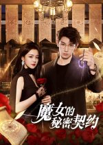 The Secret Contract of the Witch