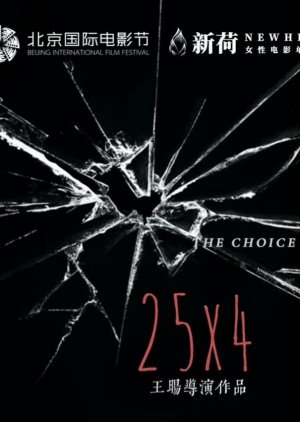 The Choice (0000) poster