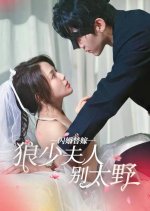 Shan Hun Ti Jia Lang Shao Fu Ren Bie Tai Ye Chinese Drama photo