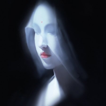 Veil of Shadows ()