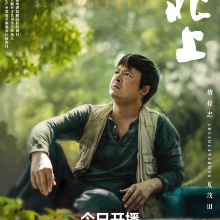 Northward (2025)