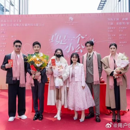 Zhen Shi Yi Ge Xiao Gong Zhu (2025)