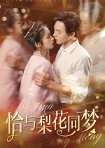 Qia Yu Li Hua Tong Meng Chinese Drama(2025) photo