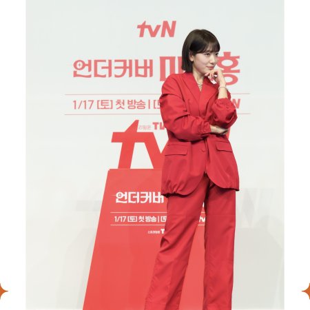 Undercover Miss Hong (2026)