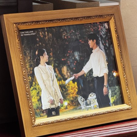 Can This Love Be Translated? (2026)