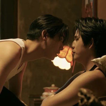 My Professional Boyfriend ()