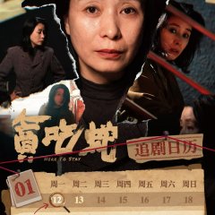 Here to Stay Chinese Drama(2026) photo