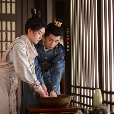 The Imperial Coroner Season 2 (2026)