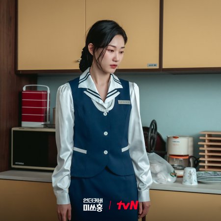 Undercover Miss Hong (2026)