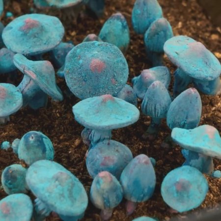 The Heart of Tsukuyomi (2025)