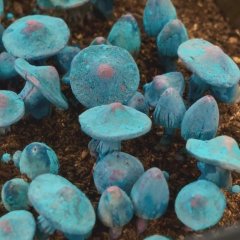 The Heart of Tsukuyomi Chinese Drama(2025) photo