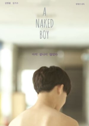 A Naked Boy (2015) poster