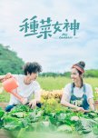 My Goddess taiwanese drama review