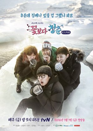 Youth Over Flowers: Iceland (2016) poster
