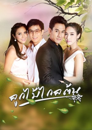 Look Mai Klai Ton (2016) poster