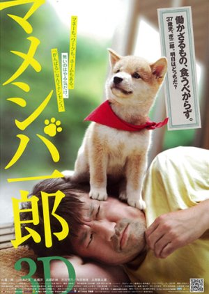 Mameshiba Ichiro 3D (2012) poster