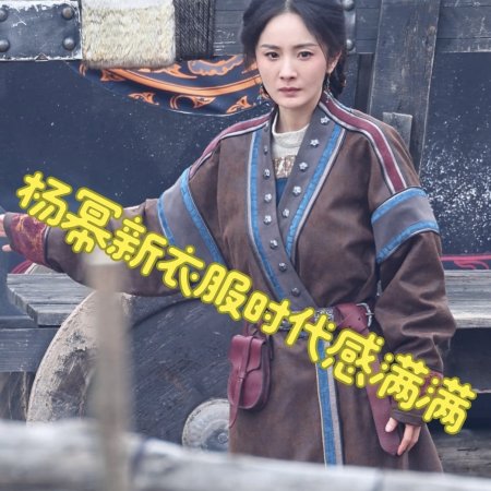 Northern Wei Dynasty ()