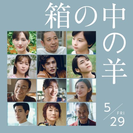 Sheep in the Box (2026)