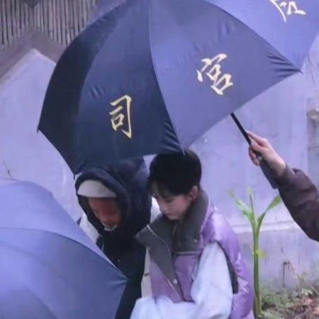 The Palace Stewardess ()