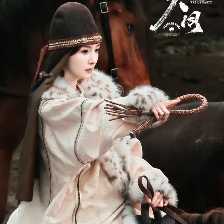 Northern Wei Dynasty ()
