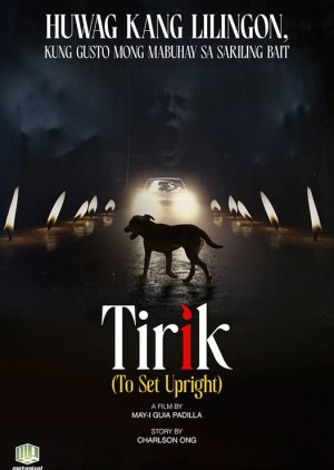 To Set Upright (0000) poster