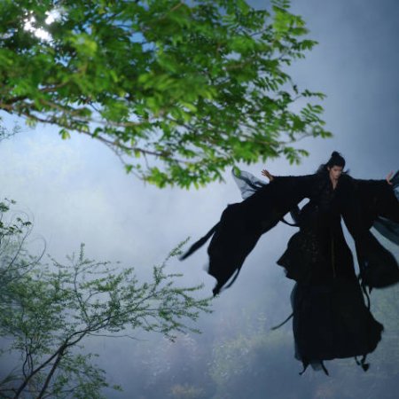 Veil of Shadows (2026)