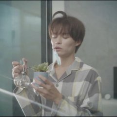 Love Is a Poison Japanese Drama photo