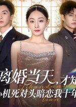 Li Hun Dang Tian, Cai Zhi Xin Ji Si Dui Tou An Lian Wo Shi Nian Chinese Drama(2025) photo