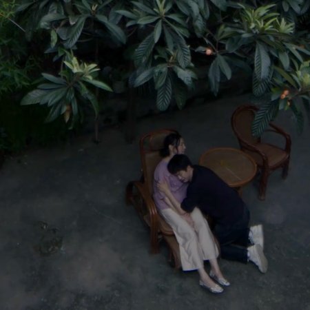 Revenged Love (2025)