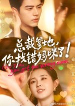 CEO Dad, You Got the Wrong Mom Chinese Drama photo