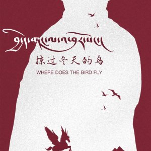 Where Does the Bird Fly (2024)