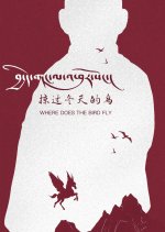Where Does the Bird Fly