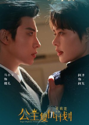 Royal Highness Princess (2025) poster