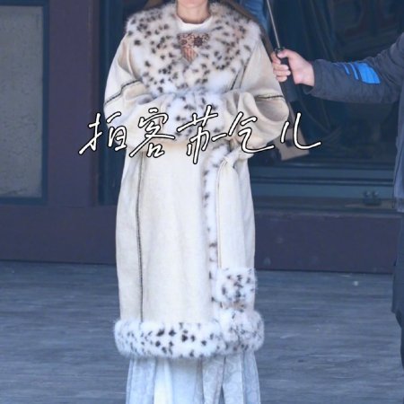 Northern Wei Dynasty ()