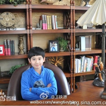 Cong Fan Da Fu Cun (2013)