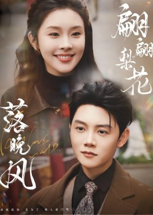 Pian Pian Li Hua Luo Wan Feng poster