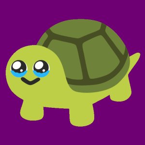 turtle9068
