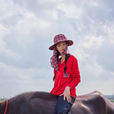 Hometown Romance (2026)