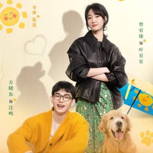 Wang Wang De Ai Bu Shuo Huang (2025)